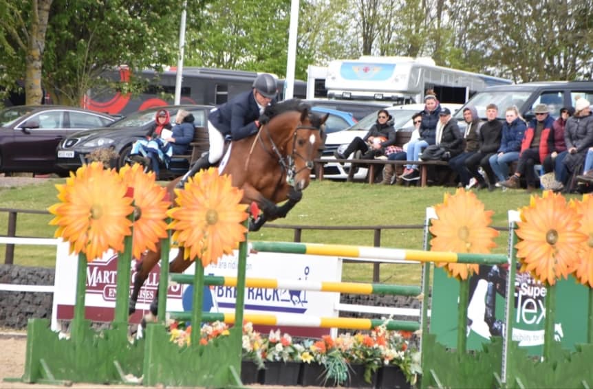 Horse Jumping For Sale